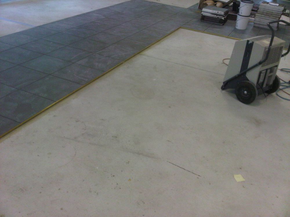 image004